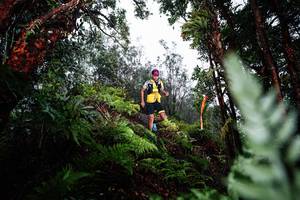 BIB: 
                            <button type="button" onclick="openModal(26205594)" class="btn btn-primary btn-sm float-right btn-popup" data-toggle="modal" data-target=".modal-high-quality">
                        <i class="fas fa-shopping-cart"></i> Add to Cart
                    </button>
                                            <button type="button" onclick="isThisMe(26205594, true)" class="btn btn-success btn-sm float-right btn-popup btn-isme hidden" data-toggle="tooltip" data-placement="bottom" title="นี่คือรูปของคุณใช่ไหม คลิกที่นี่เพื่อเอาเข้าอัลบั้ม">
                        <i class="fas fa-plus"></i> Add to album
                    </button>
                    <button type="button" onclick="isThisMe(26205594, false)" class="btn btn-warning btn-sm float-right btn-popup btn-isnotme hidden">
                        <i class="fas fa-ban"></i> Remove from album
                    </button>